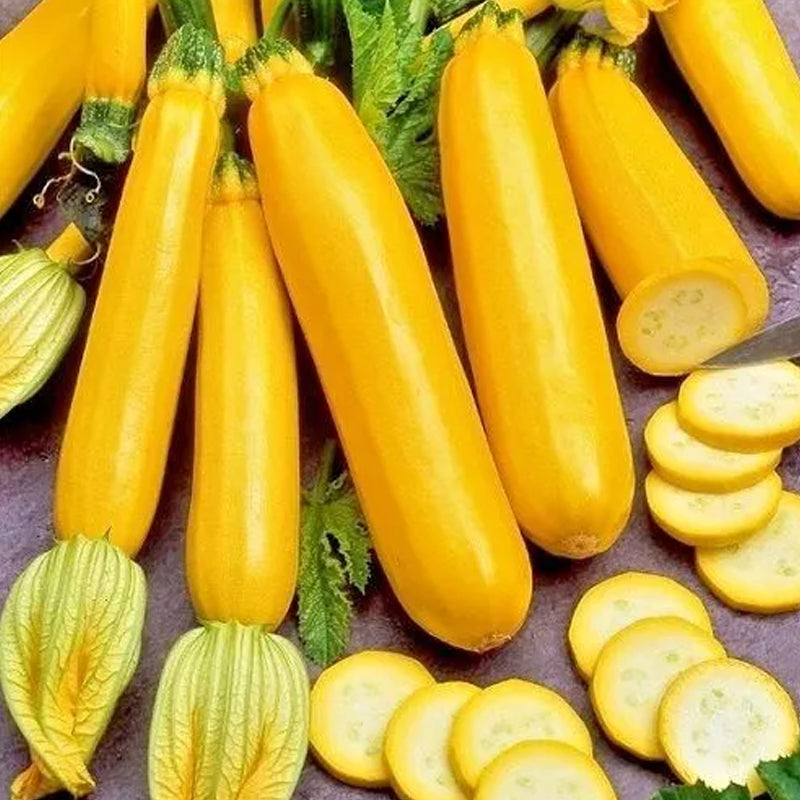 Golden Zucchini Seeds