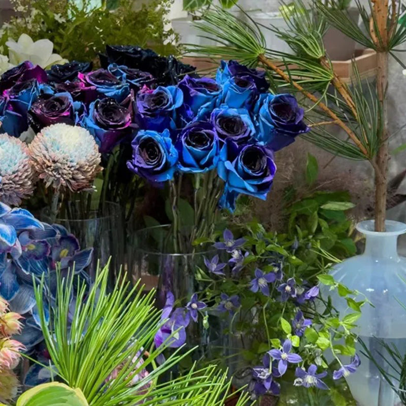 Rosas del cielo estrellado