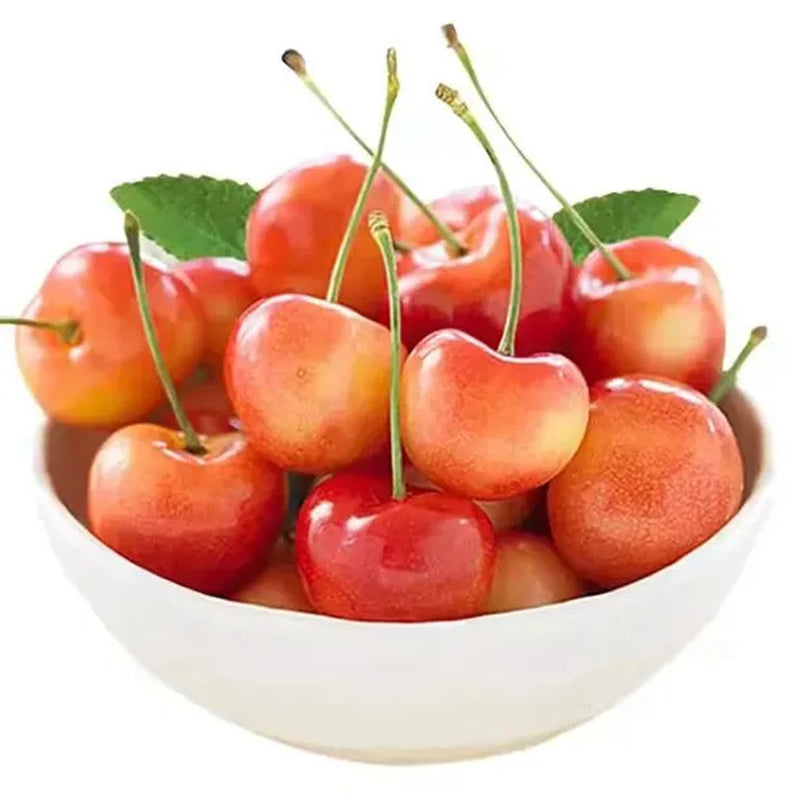 Semillas de cereza dorada