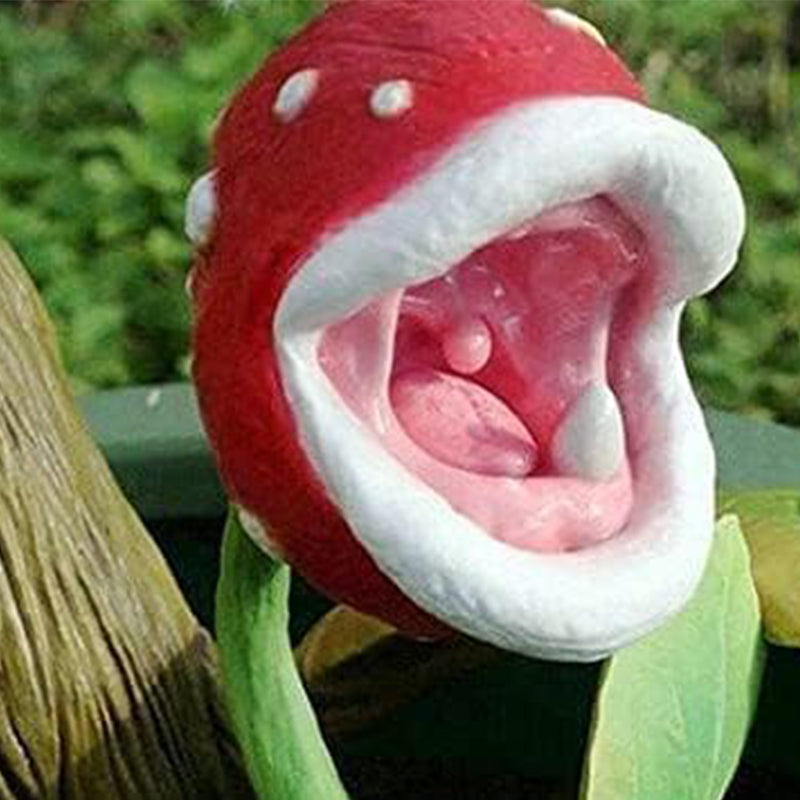 Enchantress Carnivorous Plant Seeds