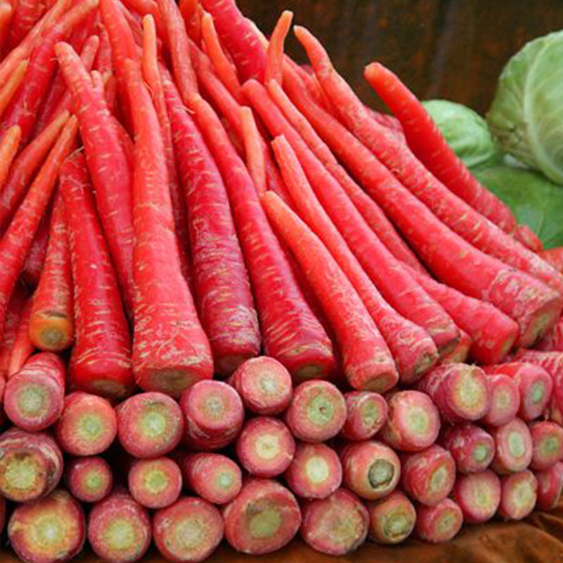 Atomic Red Carrot Seeds