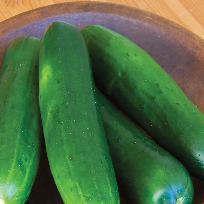 Pepino, belleza sin eructos