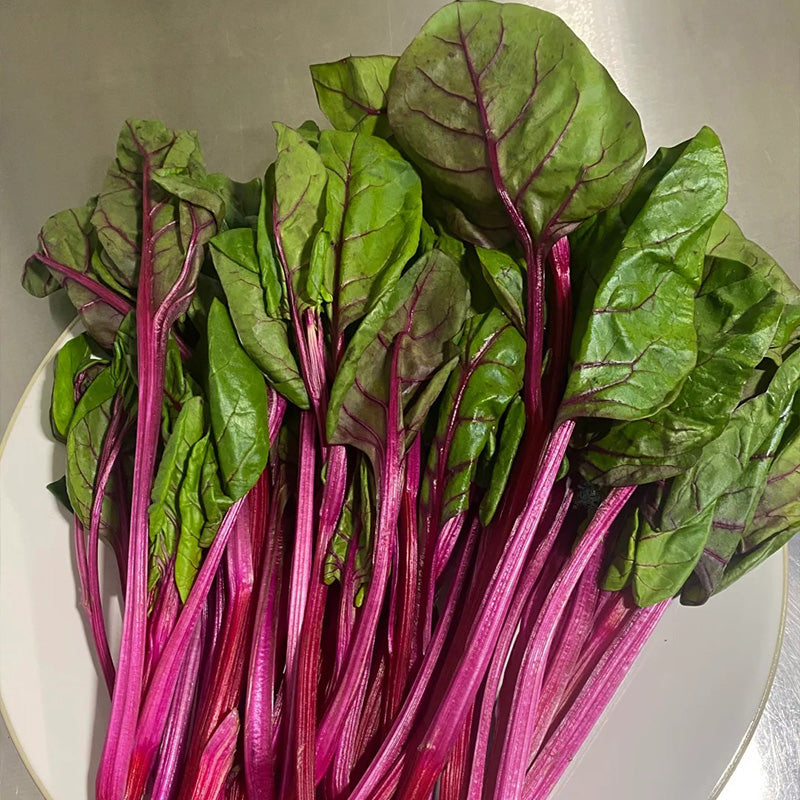 Rosy Stem Spinach Seeds