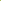 Key Lime Seeds for Planting Home Gardening, Rare Fruit Seeds