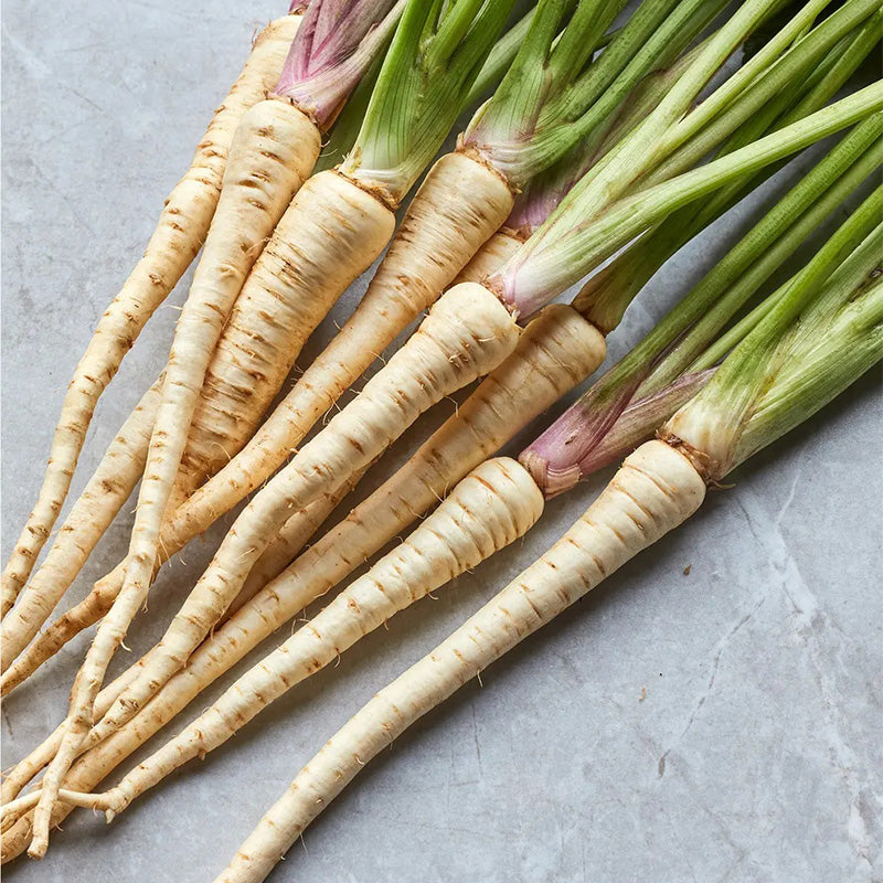 Parsnip, Hollow Crown