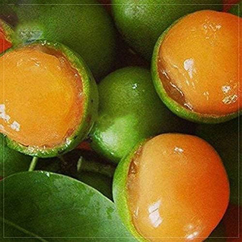 Paquete profesional de limón dulce lima española, piel verde naranja en el interior, frutas jugosas