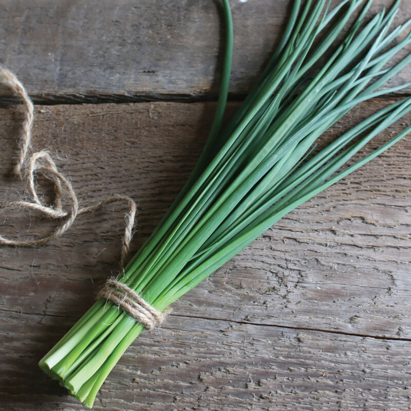 Staro Chive Seeds