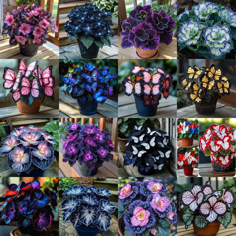 haiyiplants.com