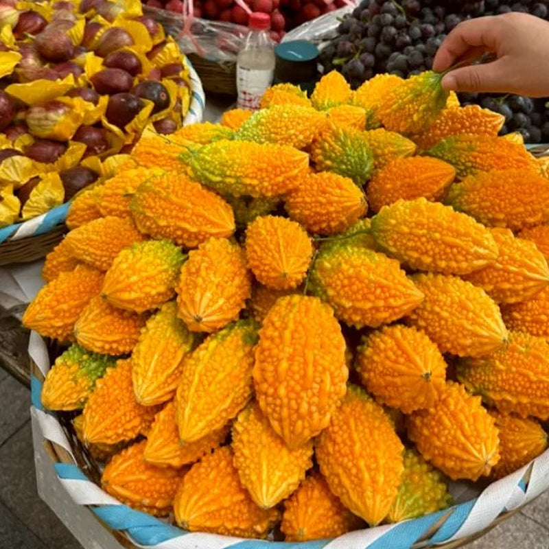 Lai Grape Seeds for Garden Bitter Gourd Seeds