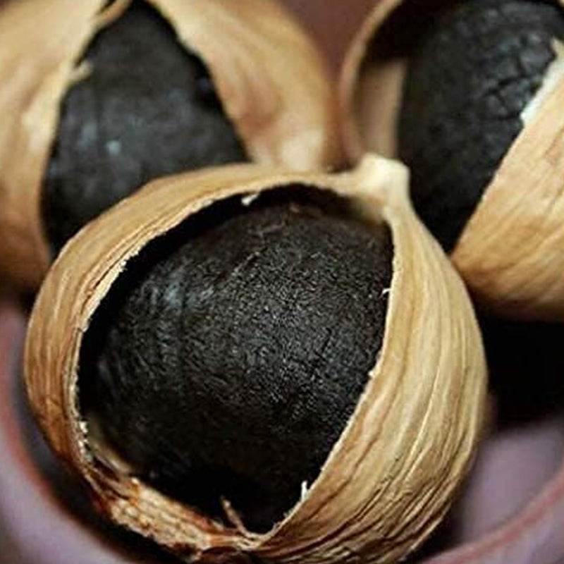 Semillas de ajo negro Verduras orgánicas Jardinería casera Plantación