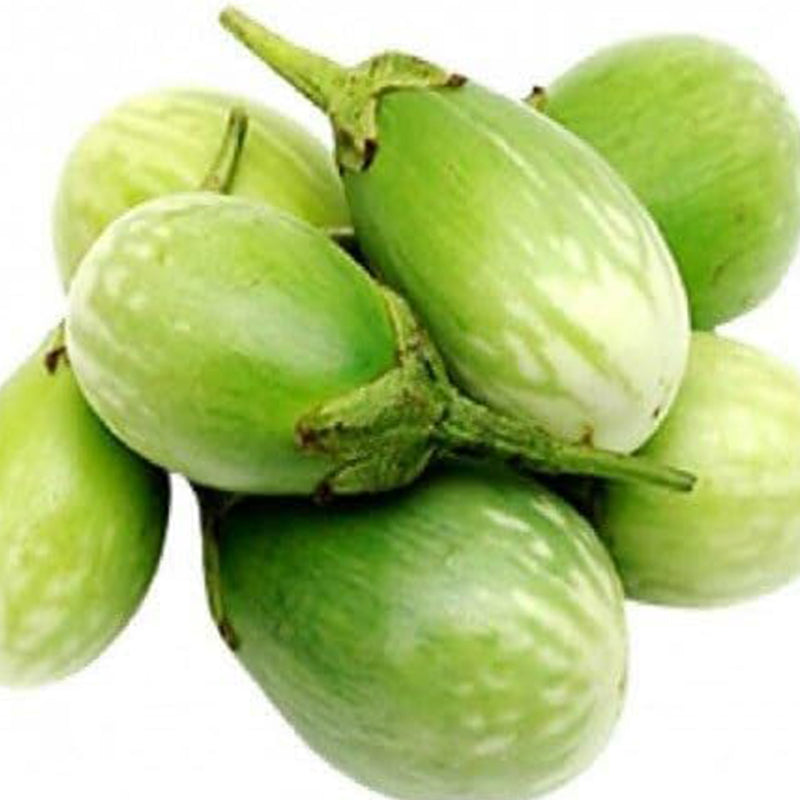 Semillas de berenjena