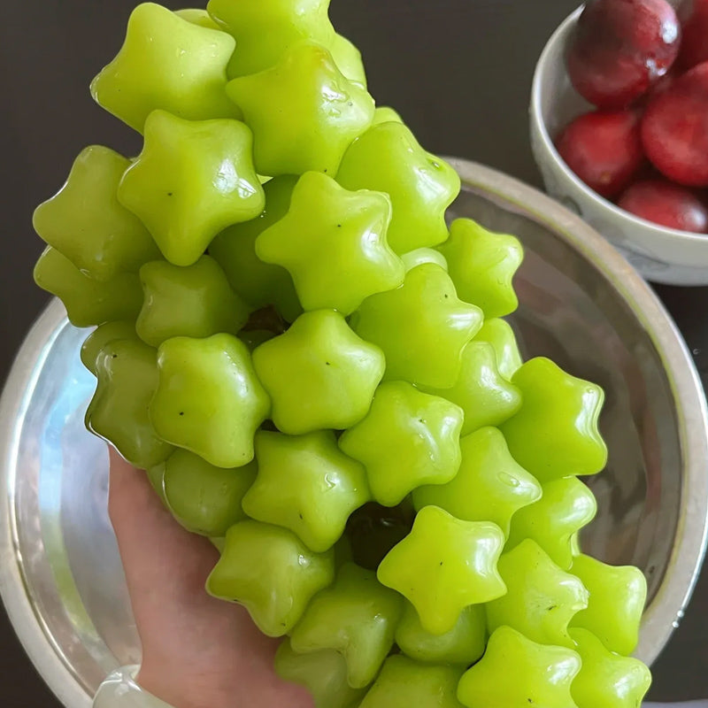 Venta caliente de semillas de uva estrella de una raza rara y hermosa