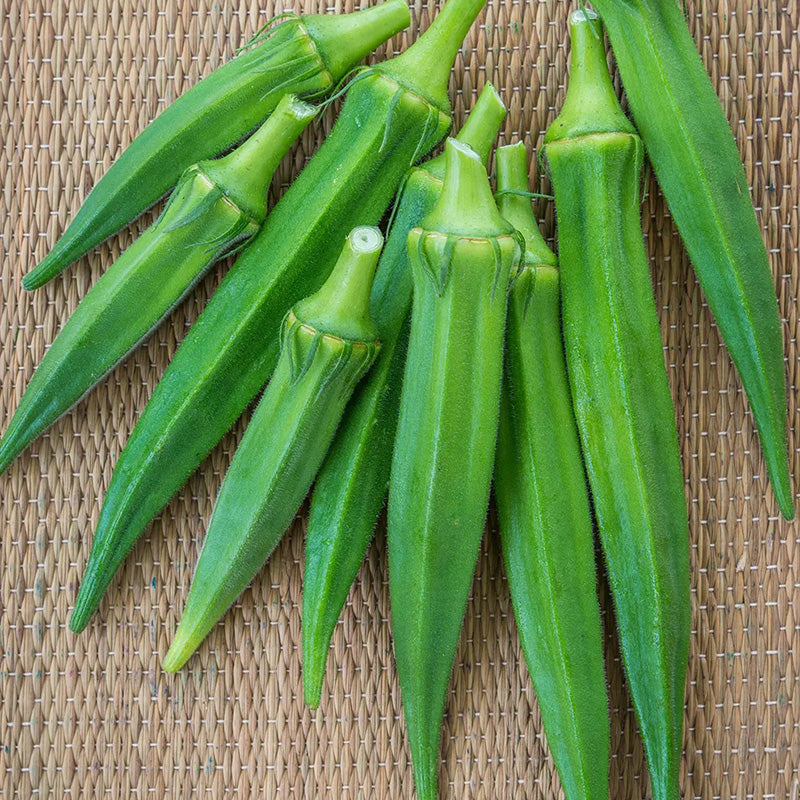 Okra, Go Big