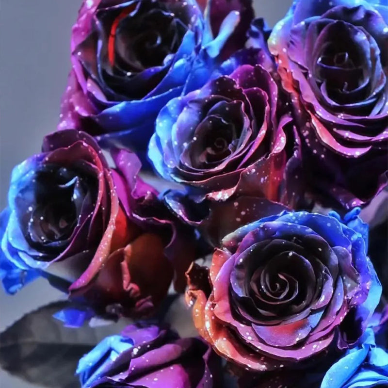 Rosas del cielo estrellado