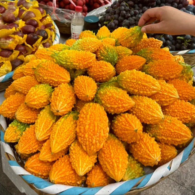 Semillas de uva Lai para el jardín Semillas de calabaza amarga