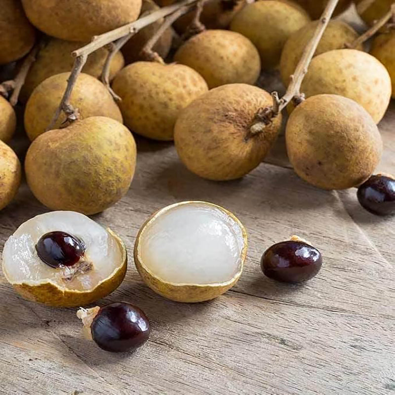Semillas de fruta exótica rara de Longan enano Sri Chompoo, también conocido como Ojo de dragón
