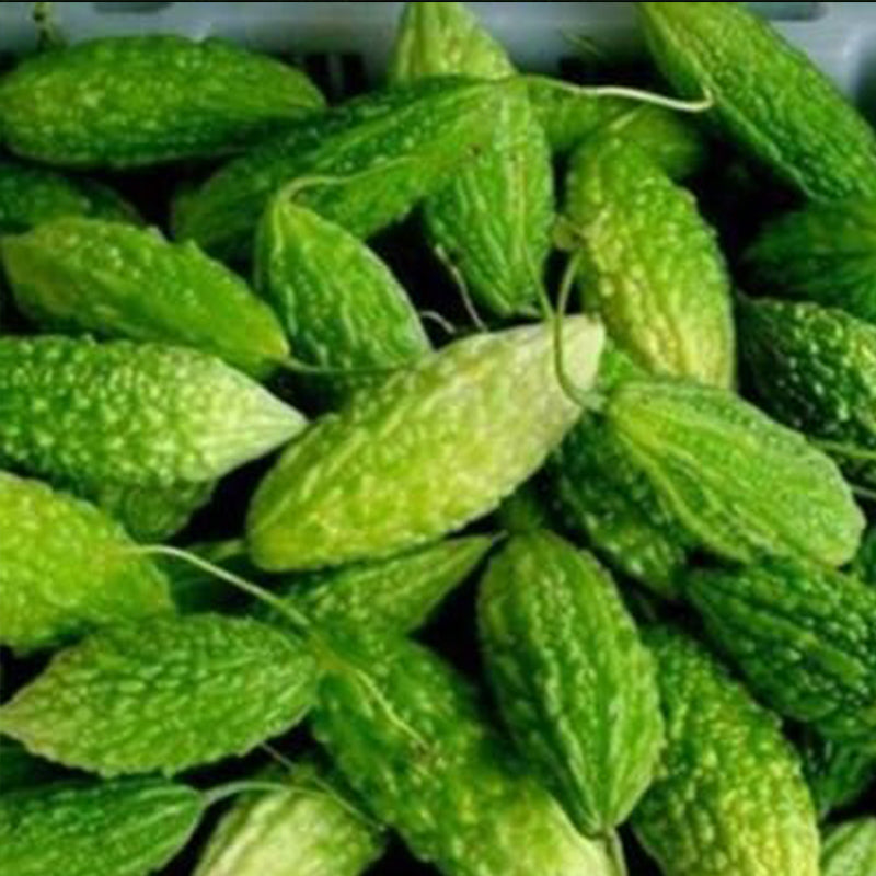 Semillas de hortalizas de calabaza amarga