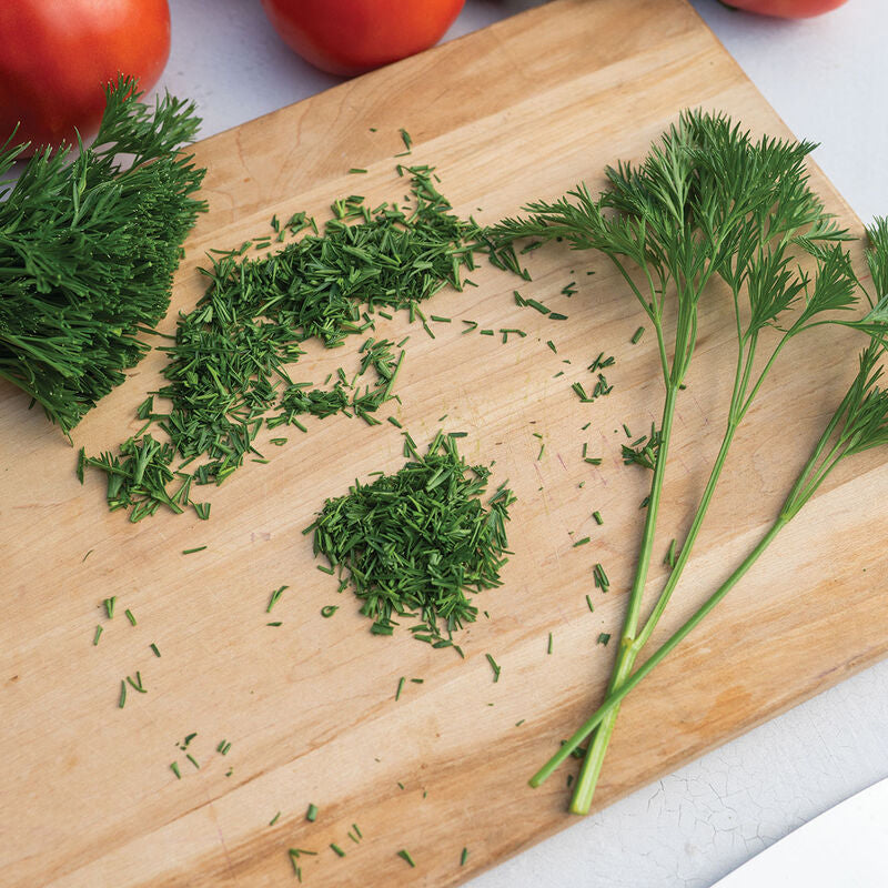 Menuette Parsley Seed