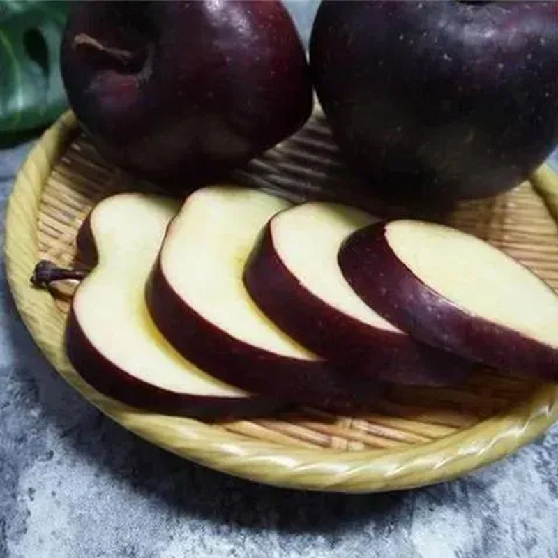 Semillas raras de manzana Black Diamond