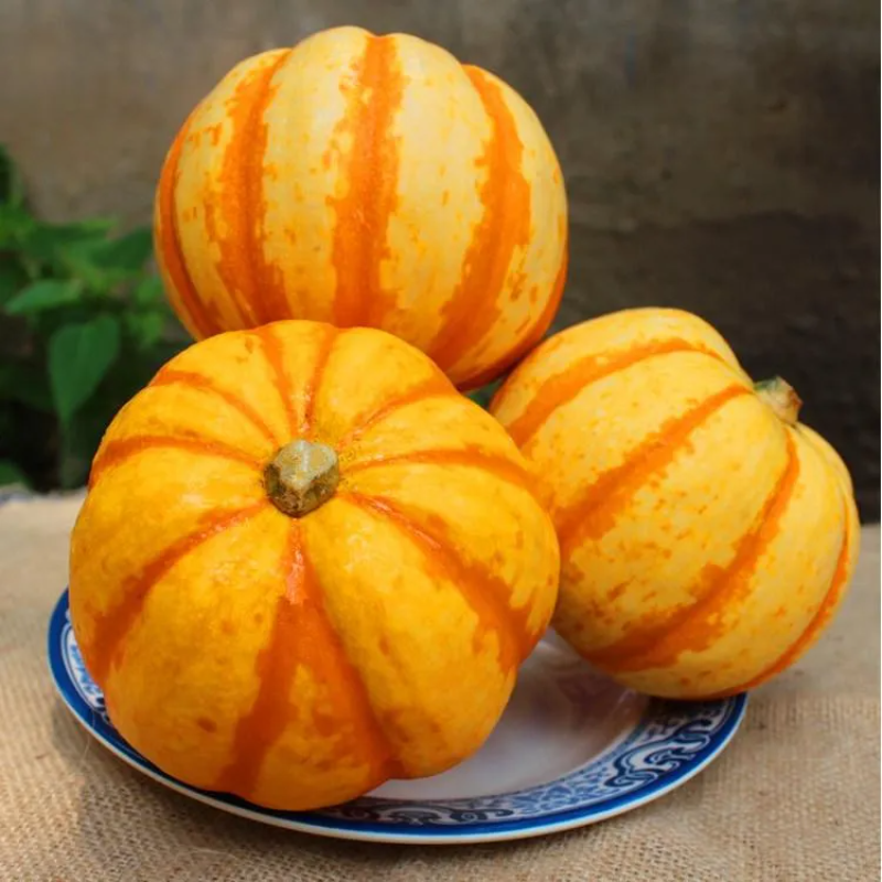 Yellow Beibei Pumpkin Sweet Glutinous BeiBei Mini Chestnut Pumpkin Seeds