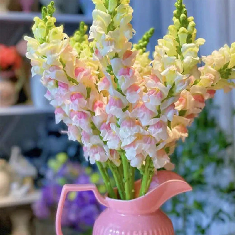 Apple Blossom Snapdragon Flower Seeds-Extremely romantic flowers