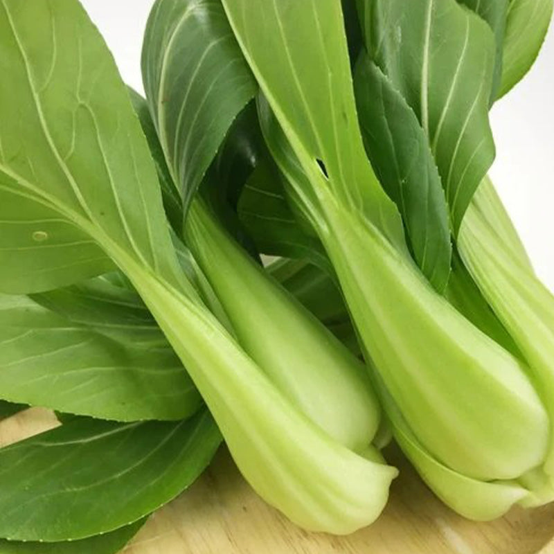 Premium Baby Bok Choy Seeds