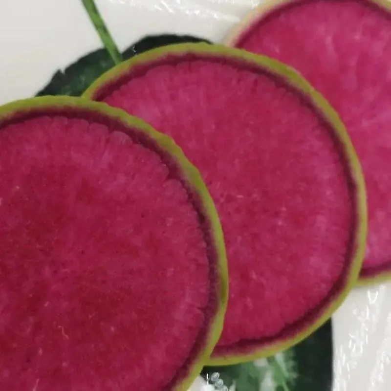 Radish Watermelon Seeds