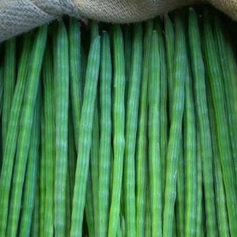 Semillas de verduras de baqueta