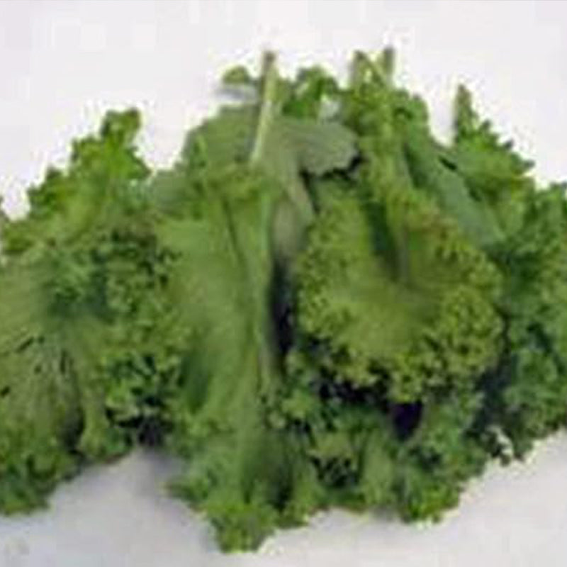 Mustard Greens Seed, Southern Giant