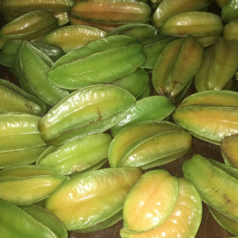 Star Fruit Seeds