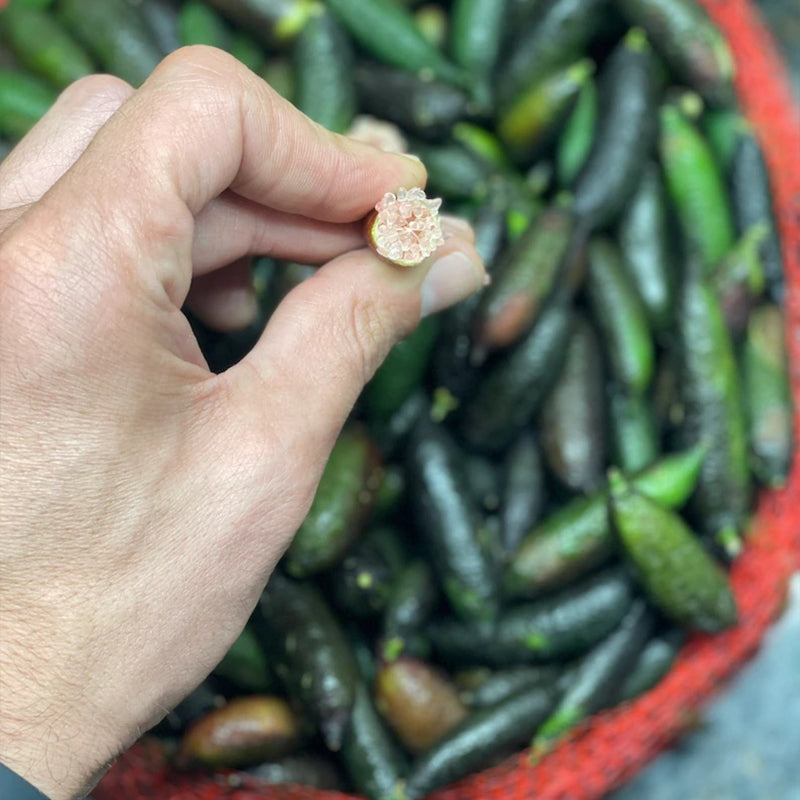 FRESH Caviar Limes (Finger Limes) RARE FRUIT- California Grown