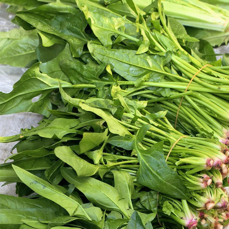 Ruby-Stem Spinach Seeds