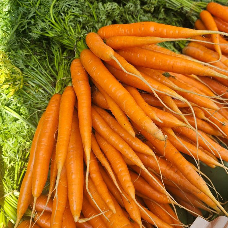 Tender Sweet Baby Carrot Seeds