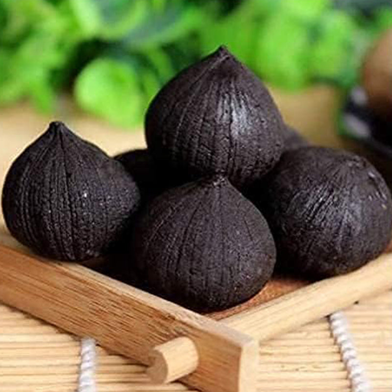 Semillas de ajo negro Verduras orgánicas Jardinería casera Plantación