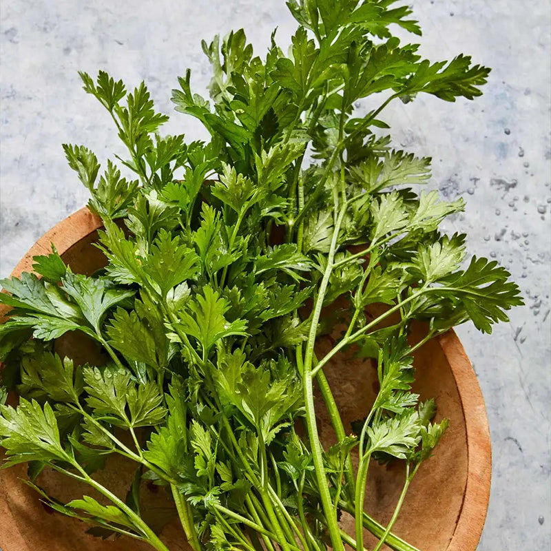 Parsley, Single Italian
