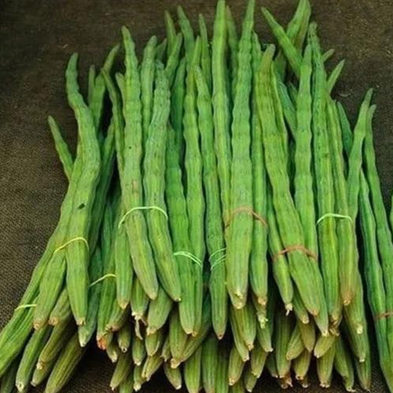 Semillas de verduras de baqueta