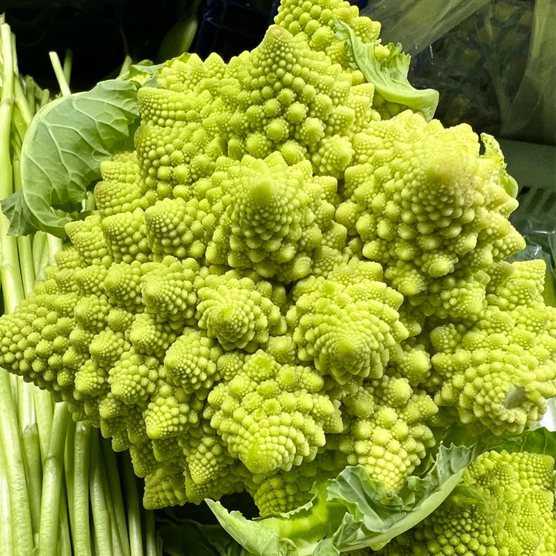 Heirloom Romanesco Broccoli Seeds