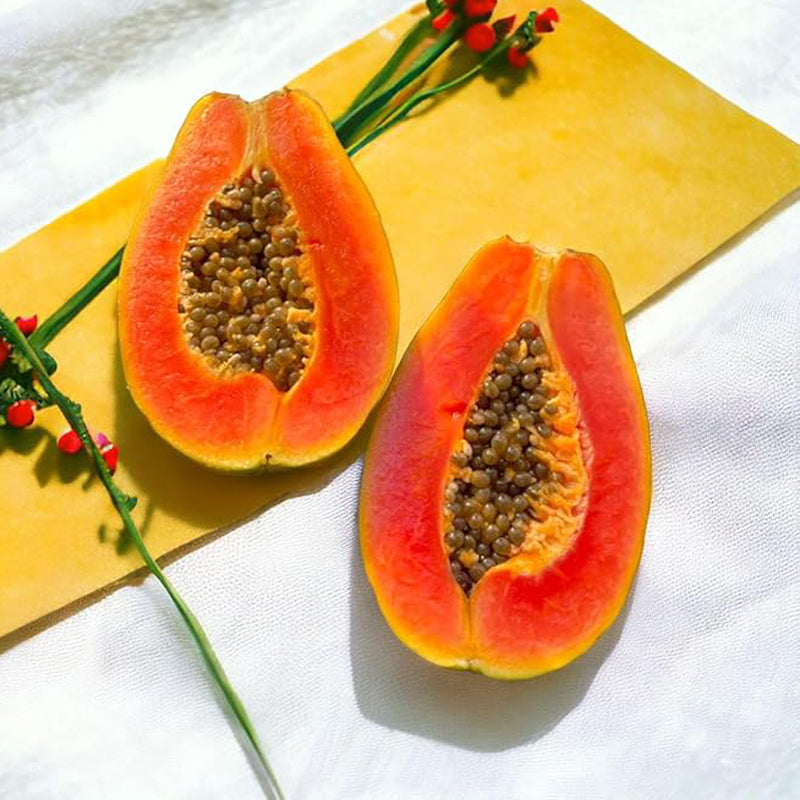 Semillas de papaya cremosa Red Heart: lo mejor de las papayas para su huerto casero: frutas ricas, dulces y llenas de nutrientes
