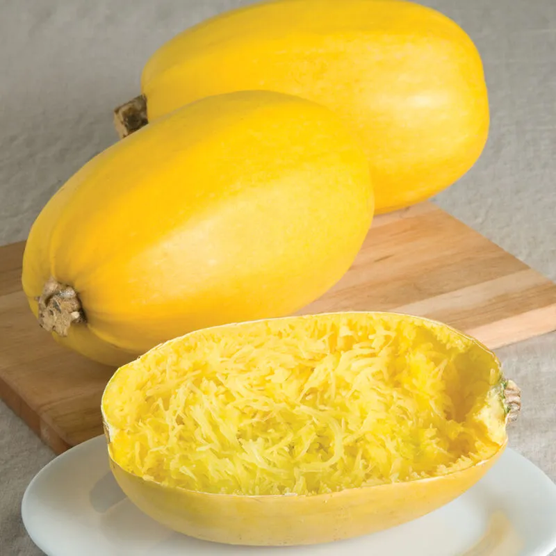 Vegetable Spaghetti, Squash Seeds