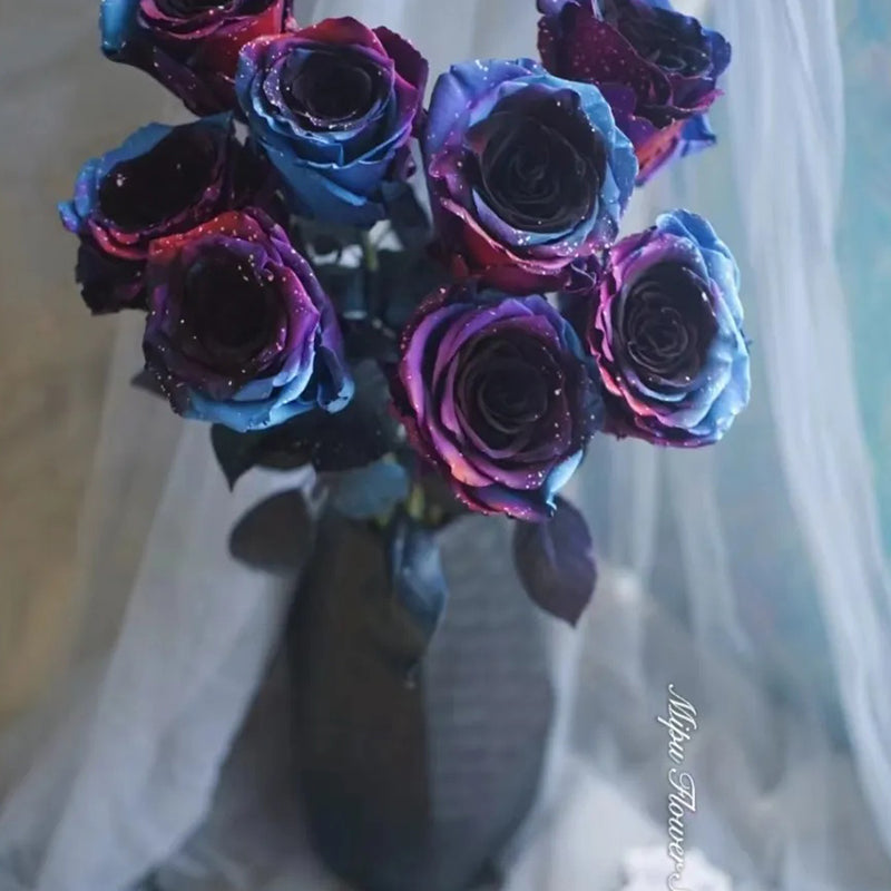 Rosas del cielo estrellado