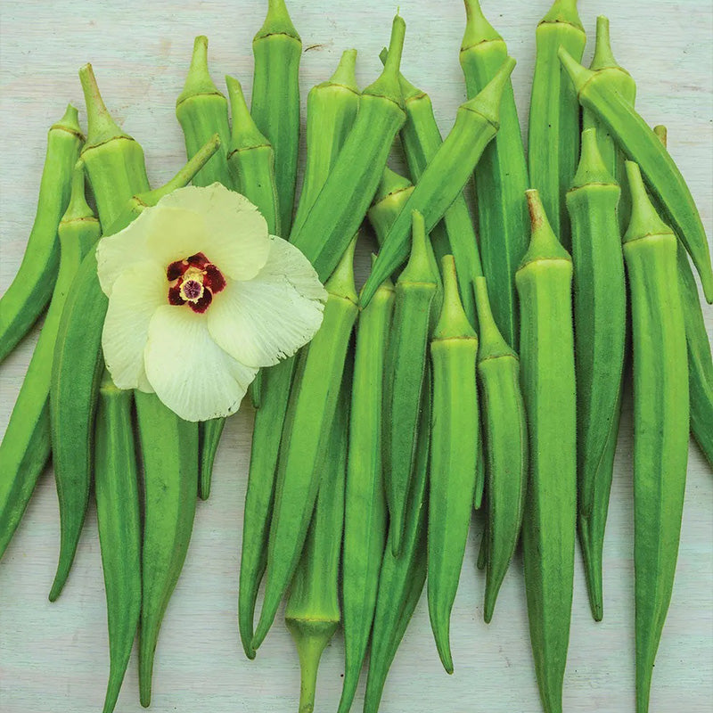 Okra, Clemson Spineless