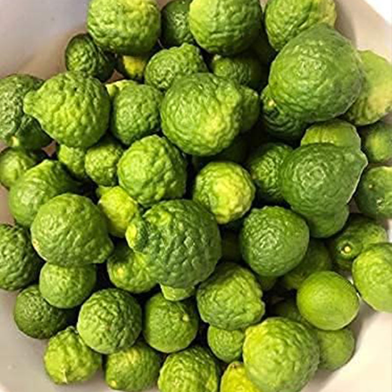 Garantía de floración y fructificación del árbol de lima kaffir