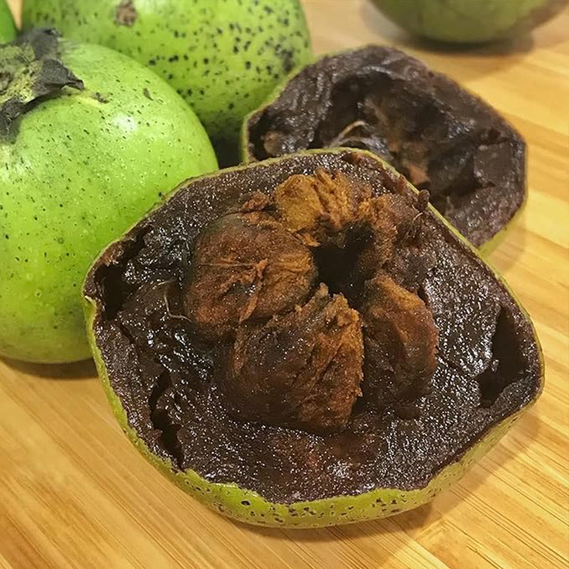 Diospyros Digyna Seeds Black Sapote