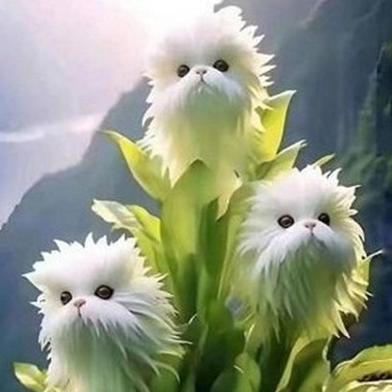 Cat's Eye Dazzle and White Seeds