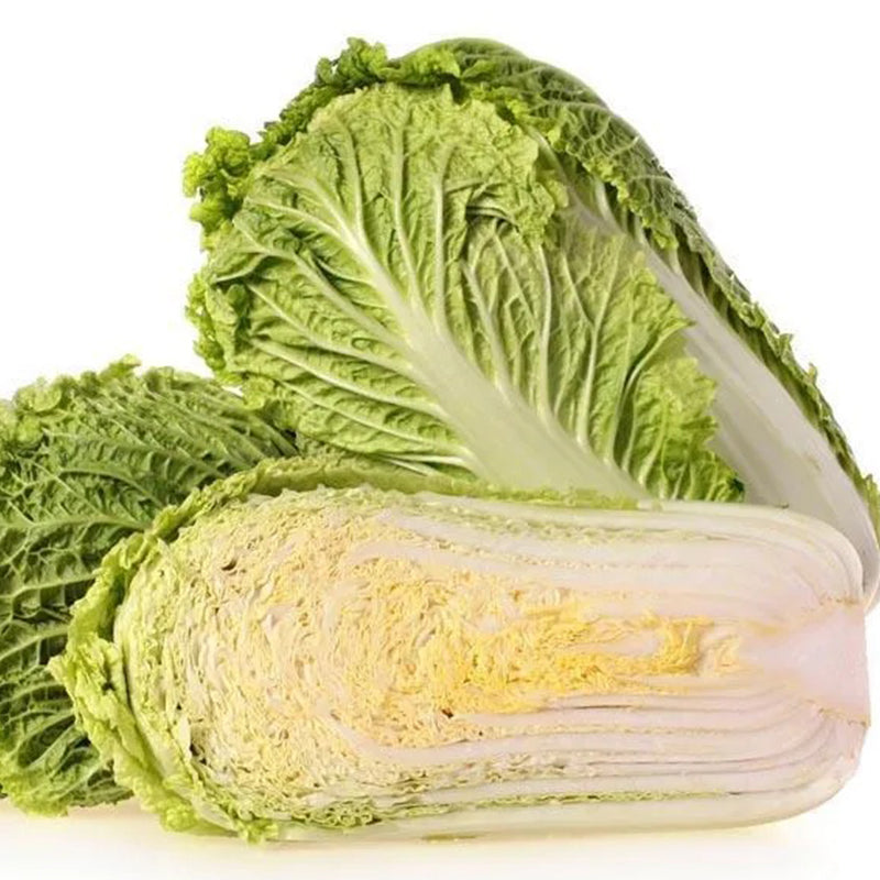 Cabbage Bilko F1 Organic