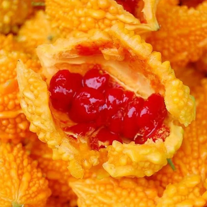 Semillas de uva Lai para el jardín Semillas de calabaza amarga