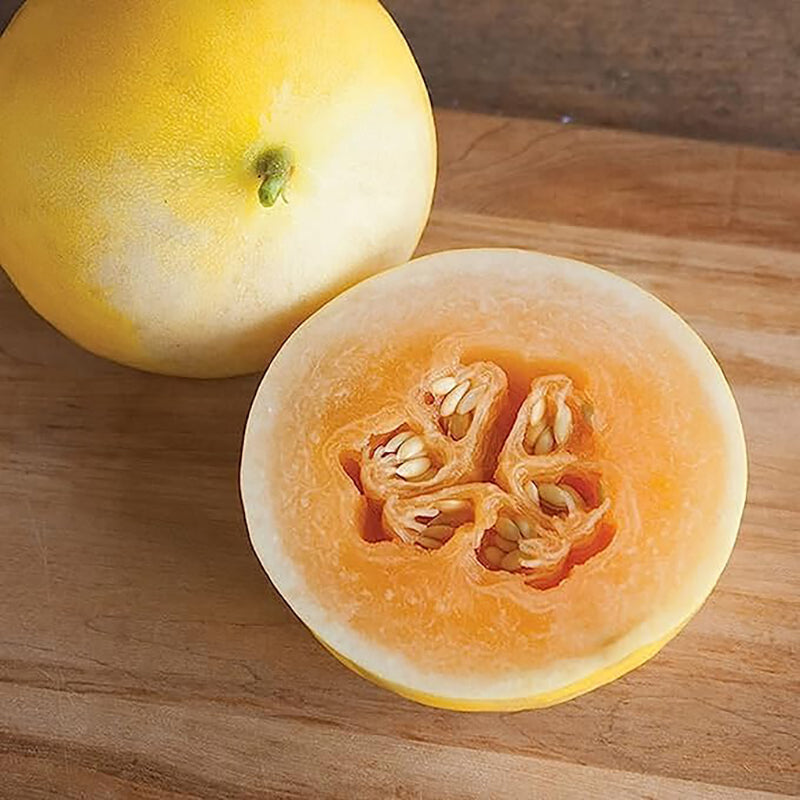 Golden Honeydew Seed Japanes Kogane Makuwauri Sweet Melon Non-GMO Juicy Fruit Great Sweet Taste Gardening