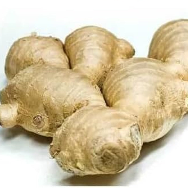 Ginger Vegetable Seeds
