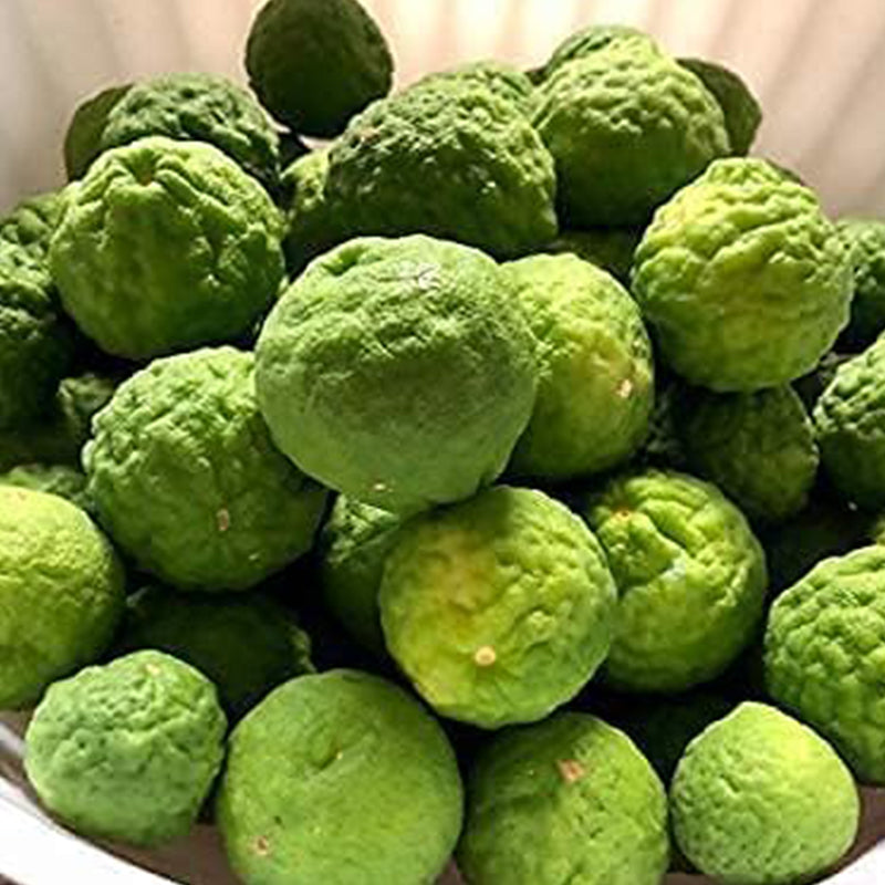 Garantía de floración y fructificación del árbol de lima kaffir