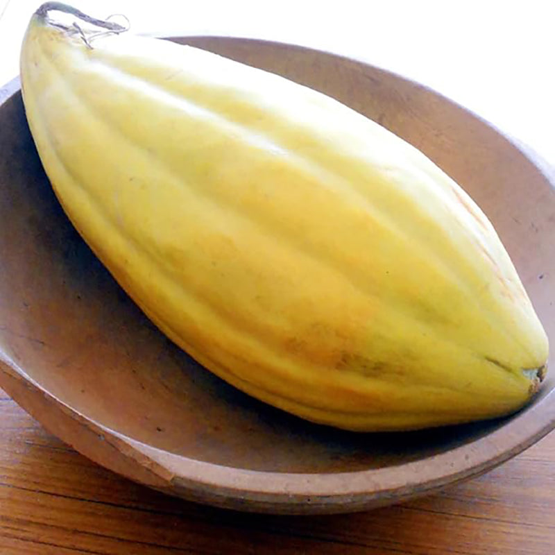 Rare Banana Melon Seed Exotic Charm Sweet Fruit Unique Flavor